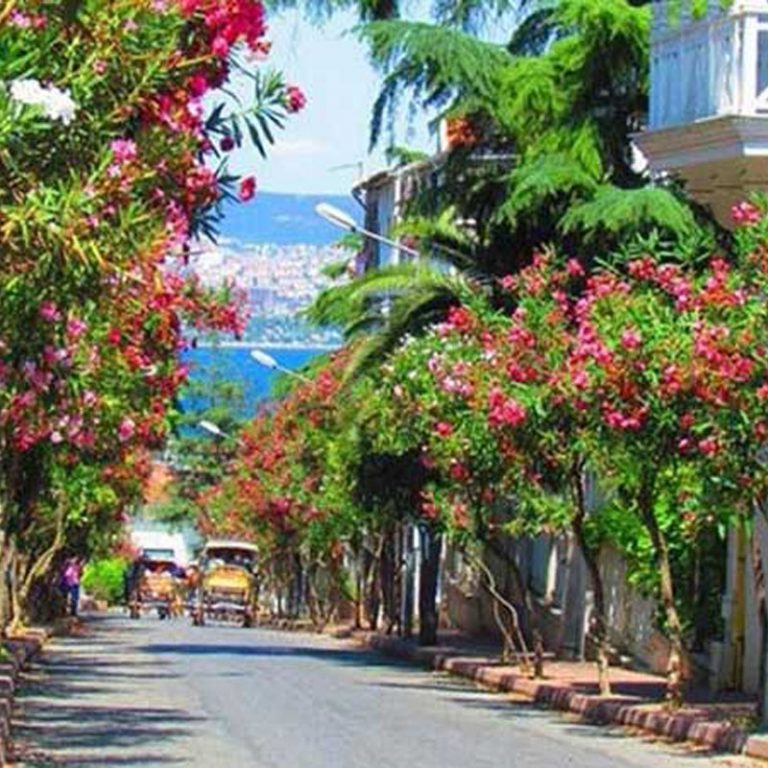 PRINCES ISLANDS TOUR